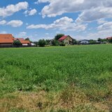 Teren intravilan Bolintin- Deal, 9 500 mp, deschidere 46 m